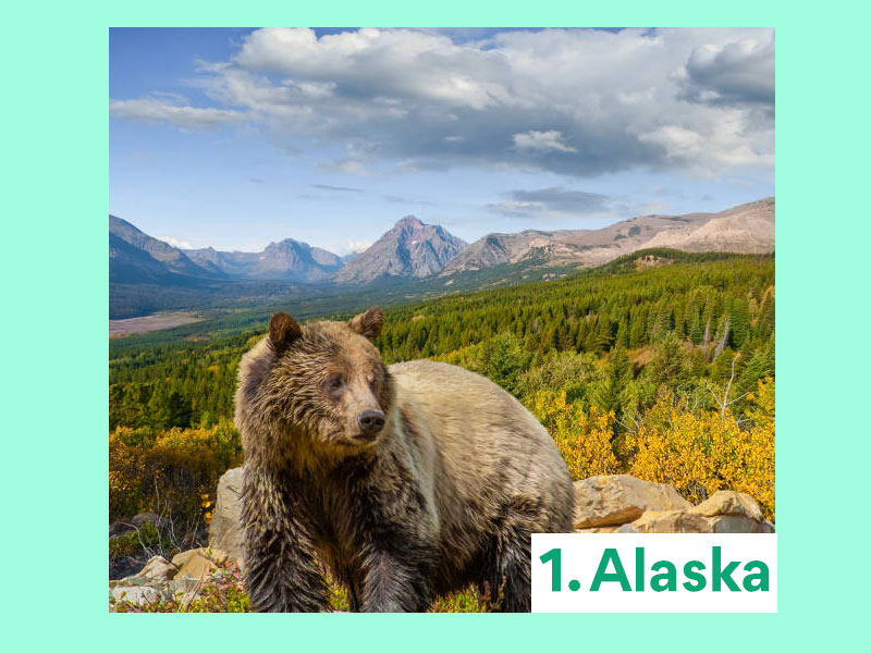 Talk about a miracle Alaska is one of the greatest US Vacation suggestions for seniors