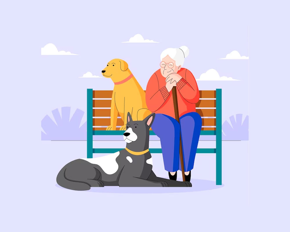 The Power of Companionship Are Pets Good For Emotional Support